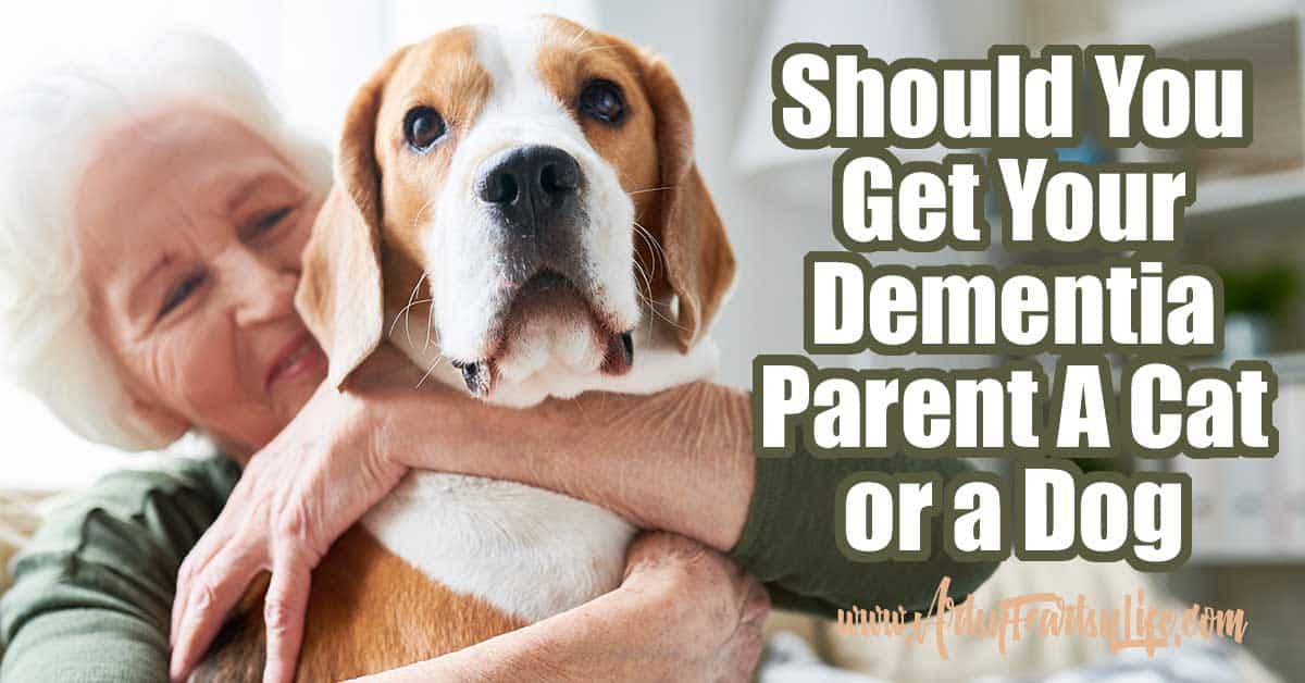 Should You Get Your Dementia Parent A Cat or a Dog · Artsy