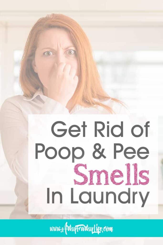 How To Get Rid of Poop and Pee Smells In Your Laundry