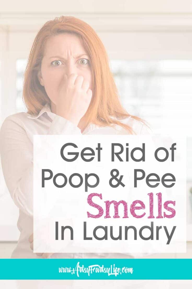 How To Get Rid of Poop and Pee Smells In Your Laundry · Artsy Fartsy Life