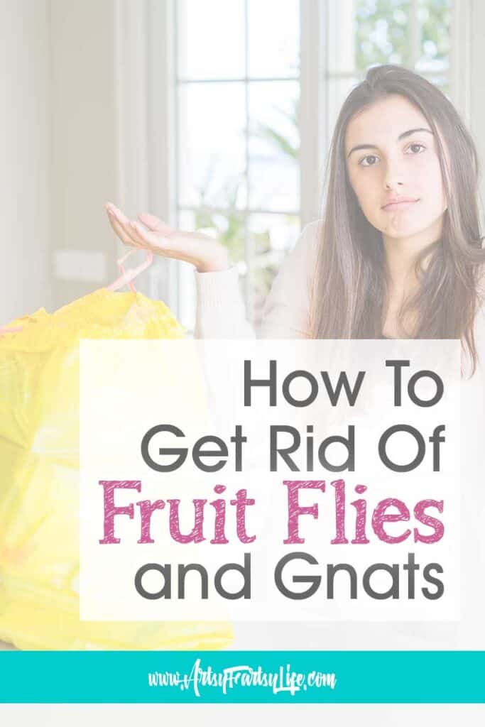 fruit flies how to get rid of them naturally