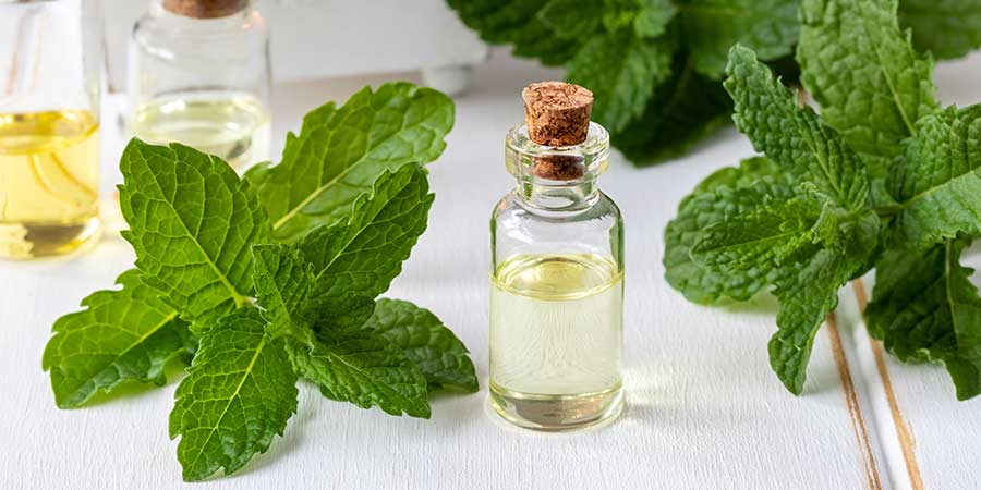 Peppermint Essential Oil