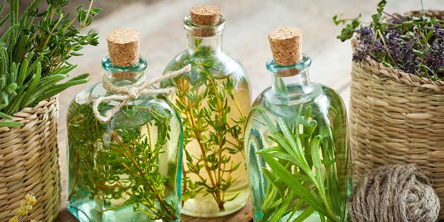 Fresh or Dried Herbs Insect Repellent