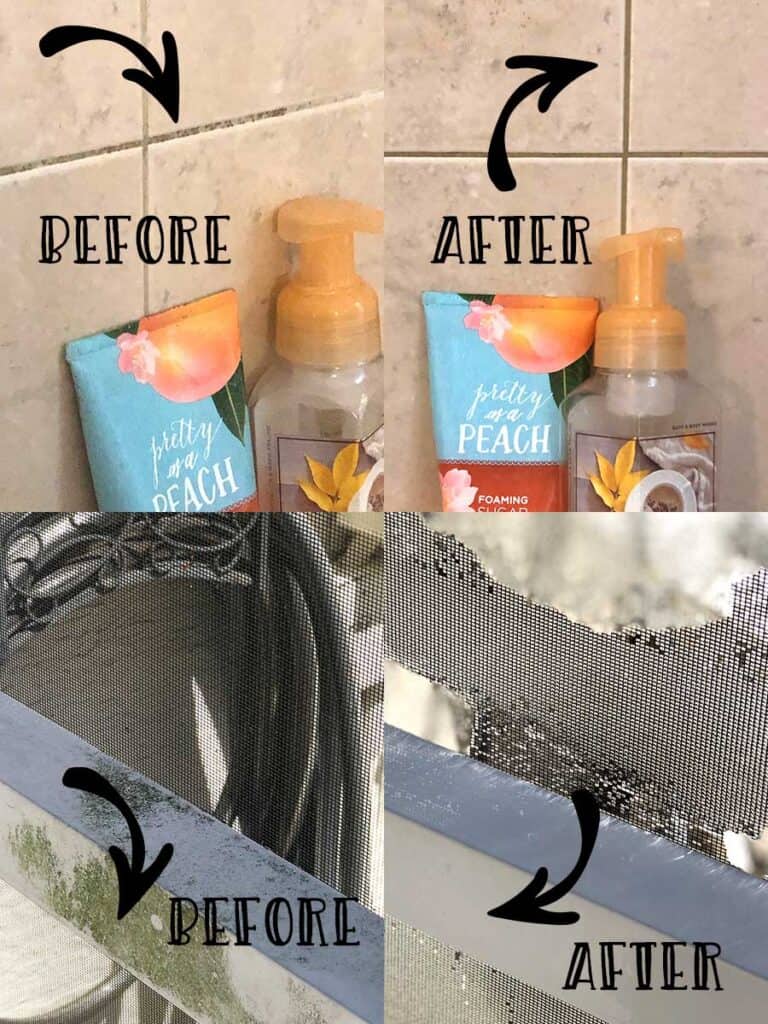 Before and after cleaning mold with essential oils