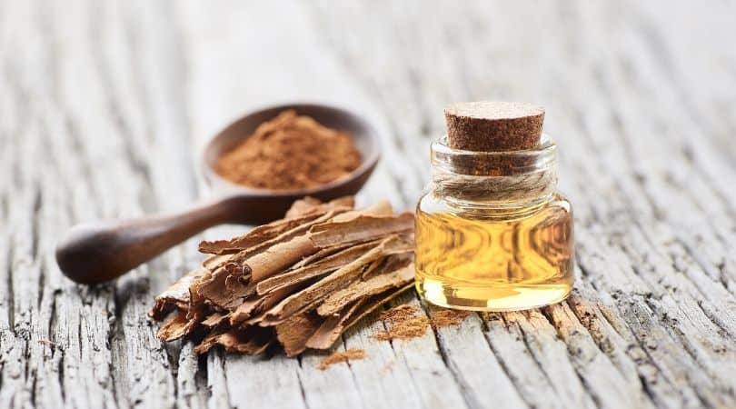 Cinnamon essential oils for mold
