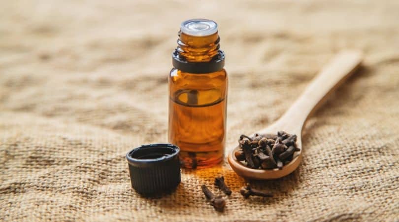 Clove essential oils for mold