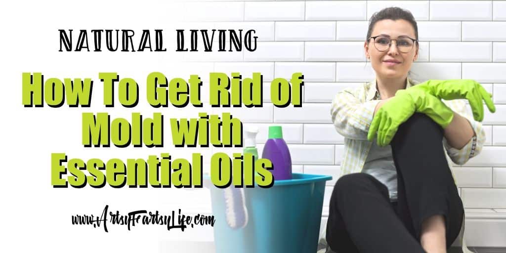 How To Get Rid of Mold with Essential Oils · Artsy Fartsy Life