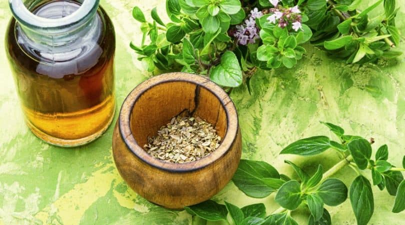 Oregano Essential Oil