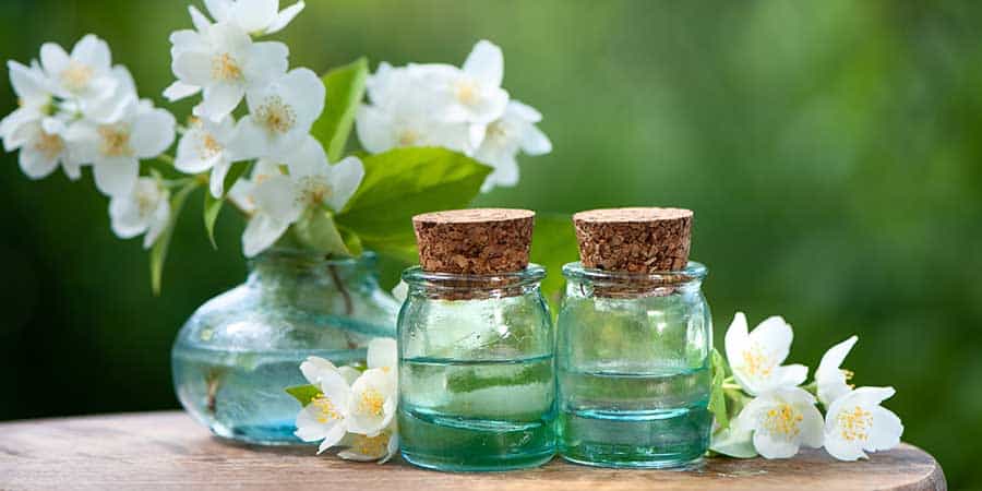 Jasmine Essential Oil