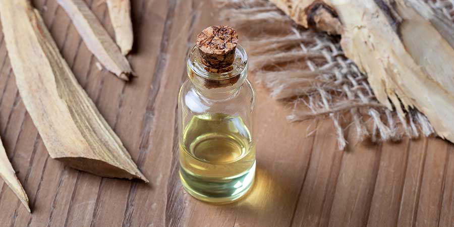 Sandalwood Essential Oils