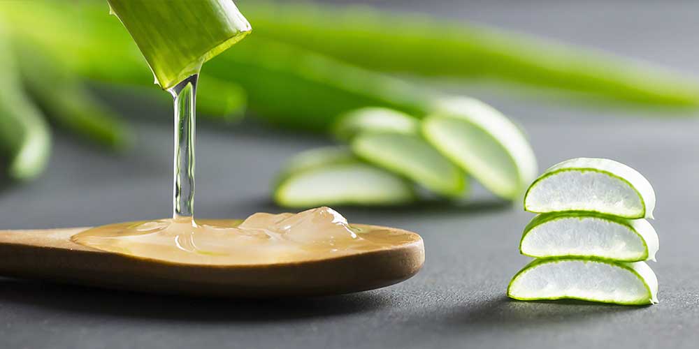 https://artsyfartsylife.com/wp-content/uploads/2020/12/aloe-vera-for-bed-sores.jpg