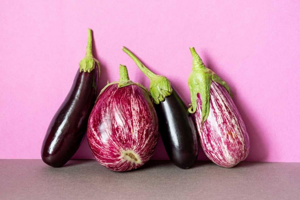 Aubergine colored eggplants