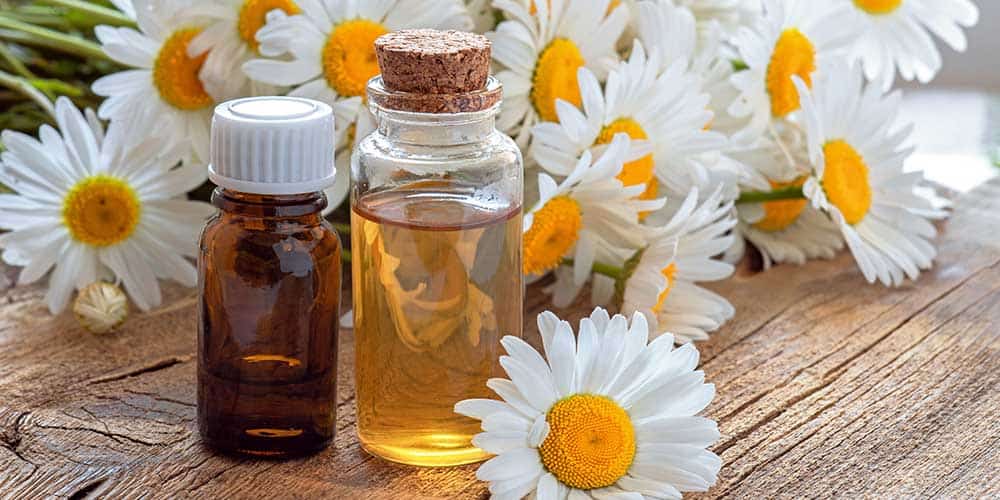 Chamomile Essential Oil