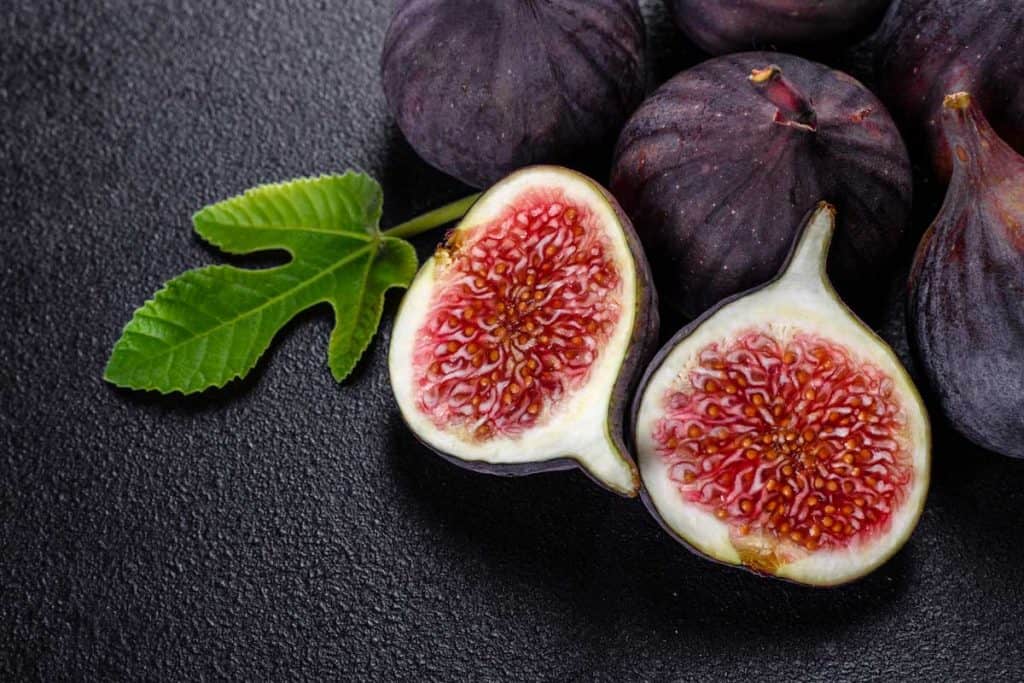 Fig Purple Colour