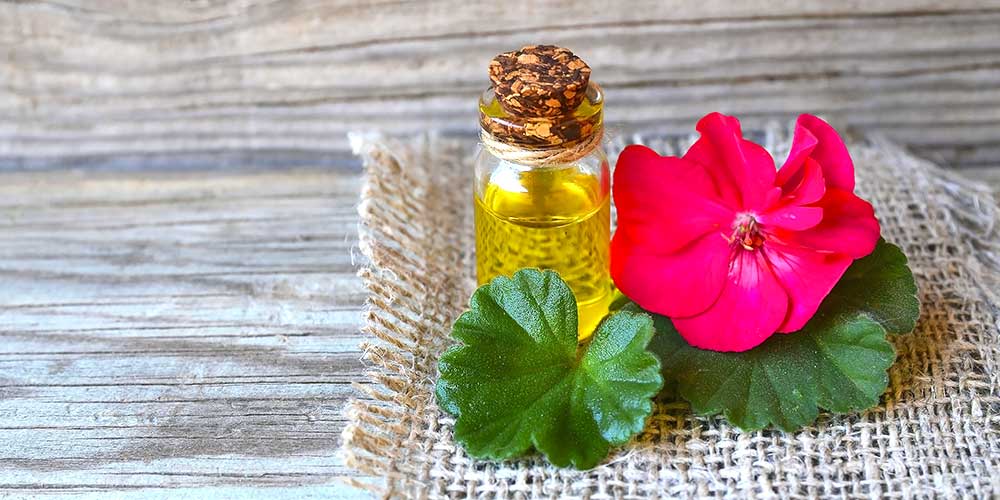 Geranium Essential Oils