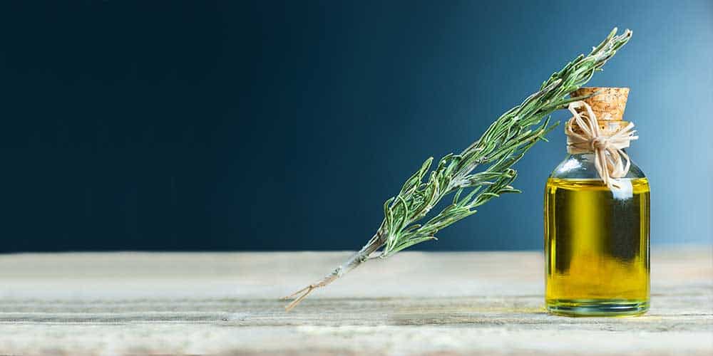 Rosemary Essential Oil