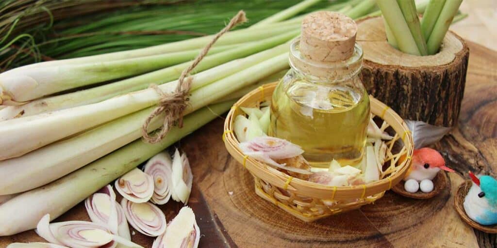 Lemongrass Essential Oils