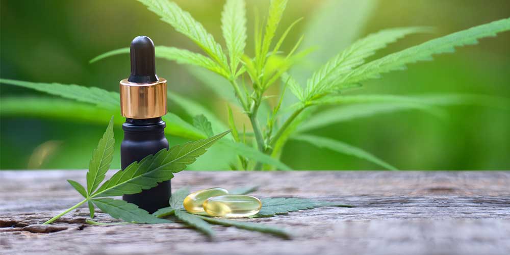 CBD oil for sundowners in dementia