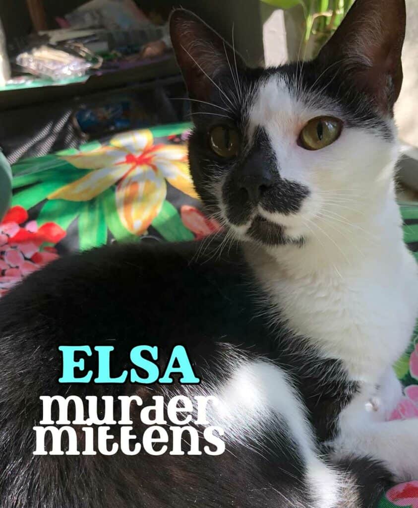 Elsa the Cat (Murder Mittens)