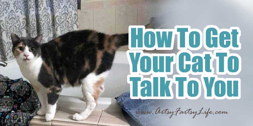 How To Get Your Cat To Talk To You! · Artsy Fartsy Life