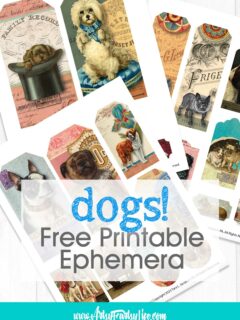 Dogs Tags and Tickets - Free Printable Ephemera