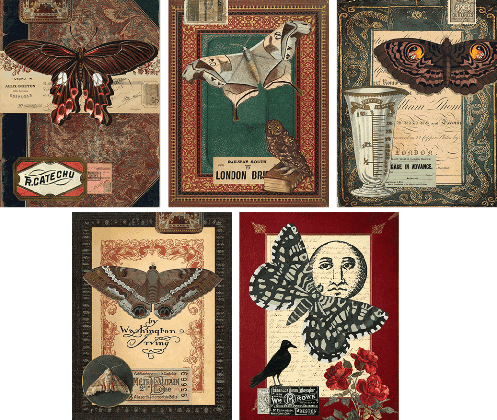 Free Printable Moth Journal Collage Pages (Commercial License)
