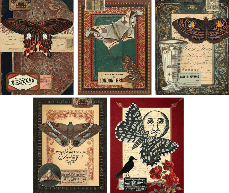 Moth Journal Free Printable Moth Journal Page Covers (Commercial License) · Artsy ...