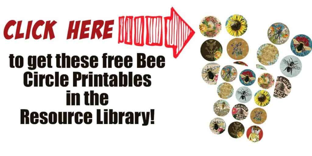 Click here to get the free bee circle printables