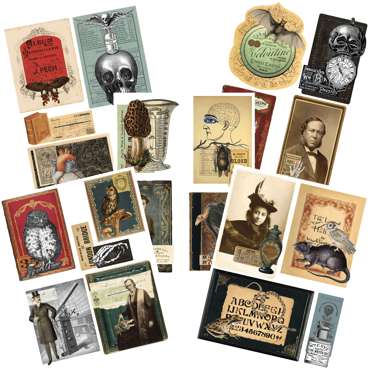 Free Printable Dark Academia Snippets Collage Sheets · Artsy Fartsy Life