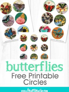 Free Printable Butterfly Circles For Junk Journals or Stickers