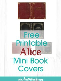 Mini Alice In Wonderland Book Covers