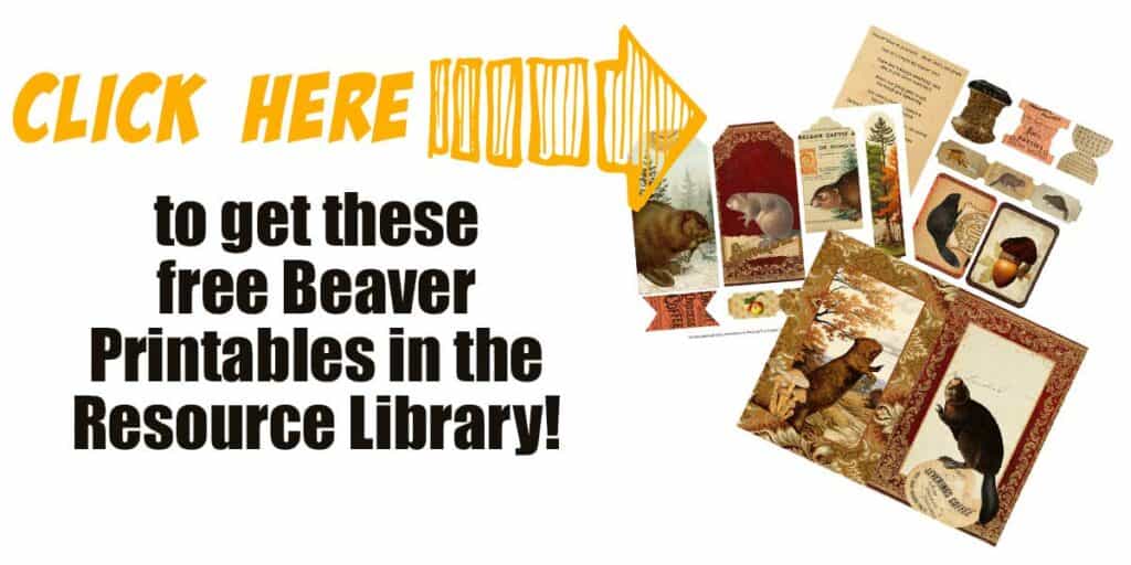 Click here to get the beaver free printables!