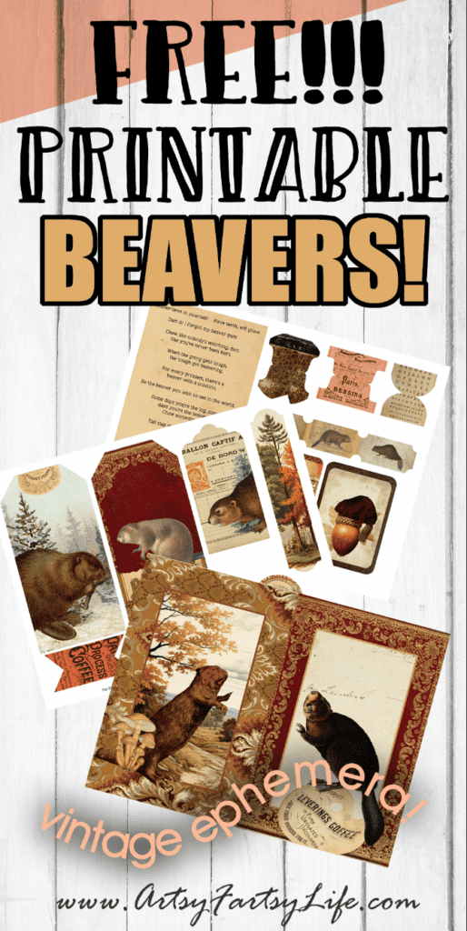 Beavers! Free Printable Vintage Ephemera Collage Sheets
