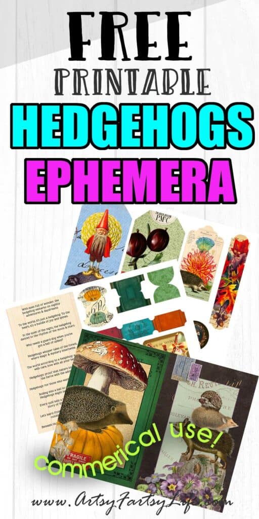 Hedge Hog Ephemera - Free Printable Collage Sheets
