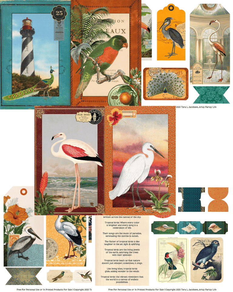 tropical-birds-and-flowers-free-printable-ephemera-artsy-fartsy-life