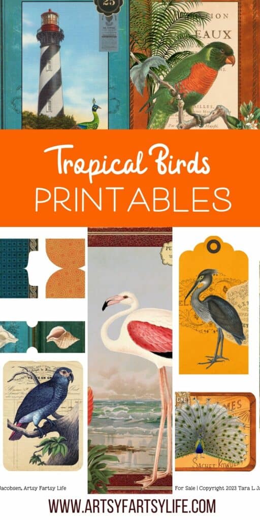 Free Printable Tropical Birds and Flowers