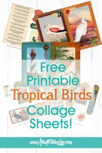 Tropical Birds and Flowers - Free Printable Ephemera · Artsy Fartsy Life