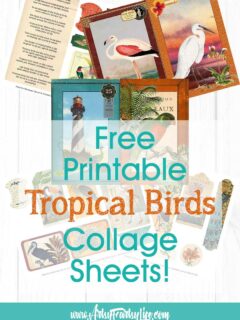 Tropical Birds and Flowers - Free Printable Ephemera