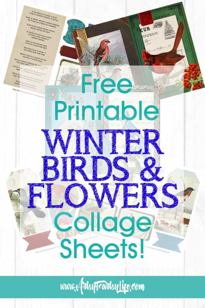 Winter and Holiday Birds and Flowers - Free Printables · Artsy Fartsy Life