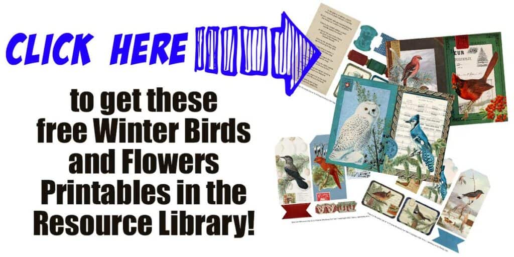 Winter and Holiday Birds and Flowers - Free Printables