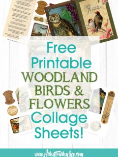 Woodland Birds and Flowers - Free Printable Ephemera