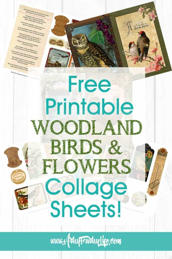 Woodland Birds and Flowers - Free Printable Ephemera
