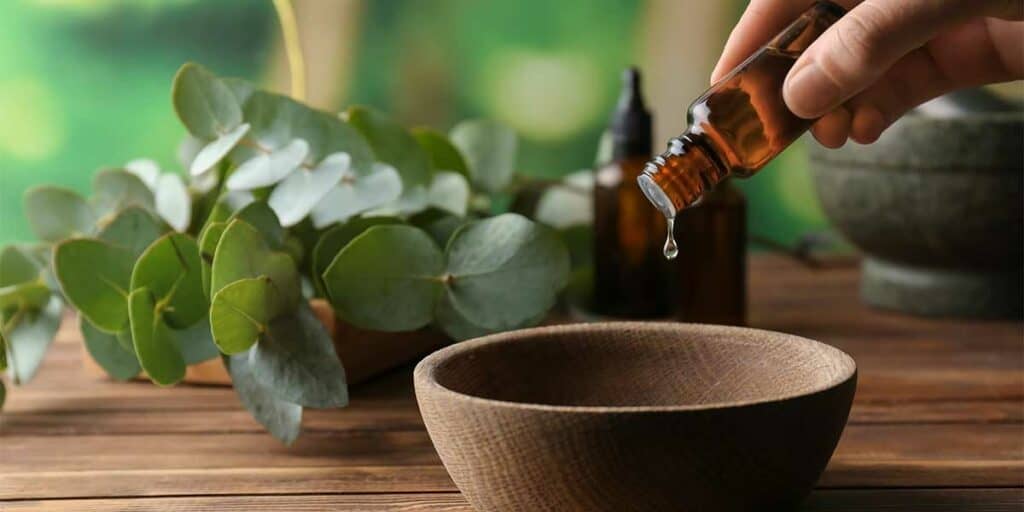 Eucalyptus essential oil to make 1 Hotel scent
