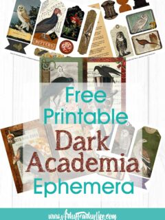 Dark Academia Birds and Flowers - Free Printables