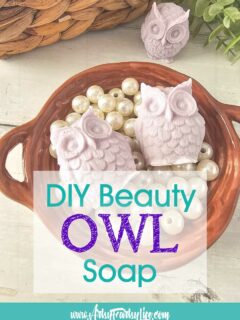 Home Made Essential Oils Owl Soap - Lavender and Rosemary