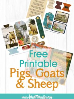 Pigs, Goats and Sheep - Free Printable Collage Sheets!