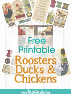 Vintage Roosters, Chickens, & Ducks: Free Printable Collage Sheets