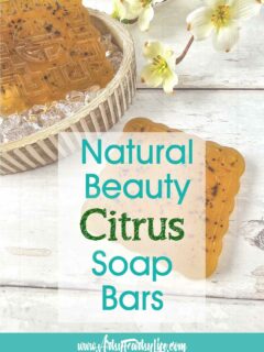 DIY Citrus Soap Bars - Super Easy!