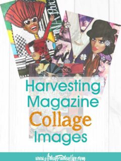 Harvesting Images To Use In Magazine Collage
