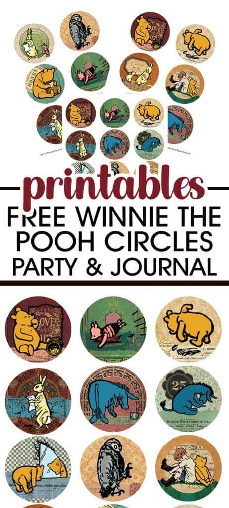 Classic Winnie The Pooh - Adult Party Favor Ideas
