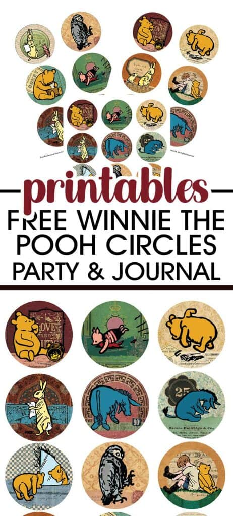 Classic Winnie The Pooh - Adult Party Favor Ideas